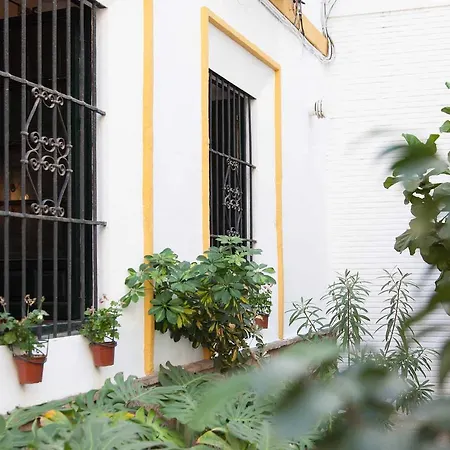 Apartment Viriato Centro Seville