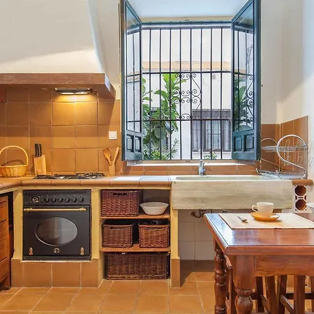 Apartment Viriato Centro
